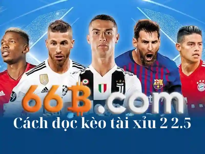 66b cách mạng tháng 8 phường 6 quận 3 – Hành trình sáng tạo và kết nối