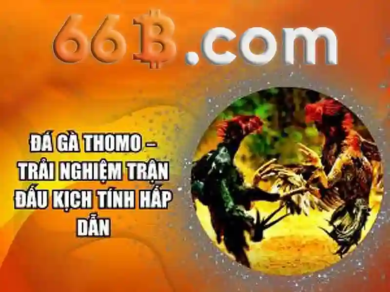 Ứng dụng và lợi ích
