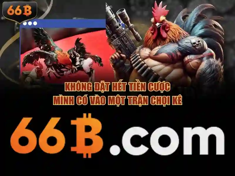 66b: Khái niệm và ứng dụng nổi bật
