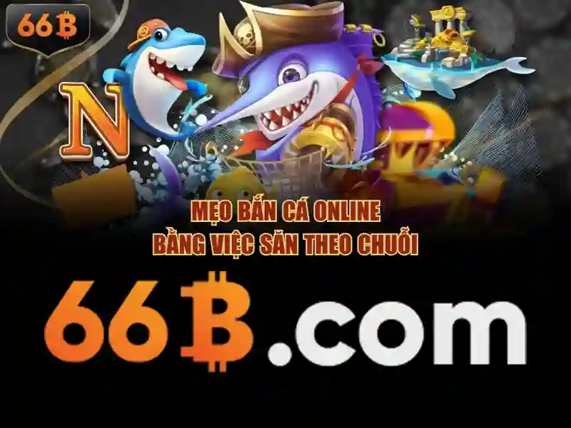 Giới thiệu về 66B