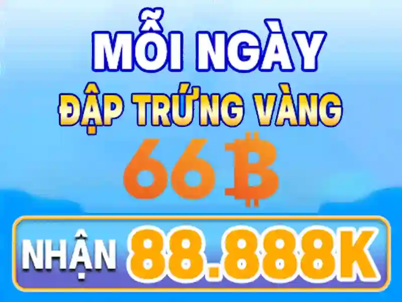 Khái niệm cơ bản về 66b