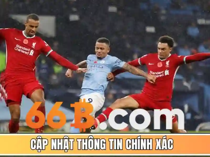 <!--IMG_PLACEHOLDER alt>Trải nghiệm người dùng và phản hồi từ cộng đồng-->