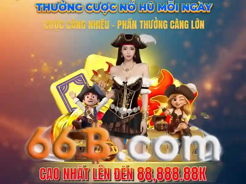 66B: khái niệm và quy mô